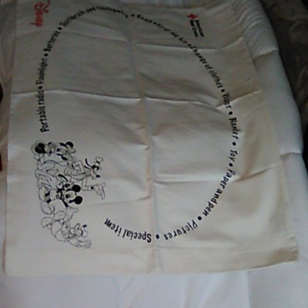 Disney Emergency Kit Pillow Case
